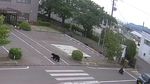 Un urs extrem de inteligent, căutat în Japonia după ce a rănit patru persoane / Animalul a descuiat singur o fereastră și a deschis un robinet pentru a bea apă