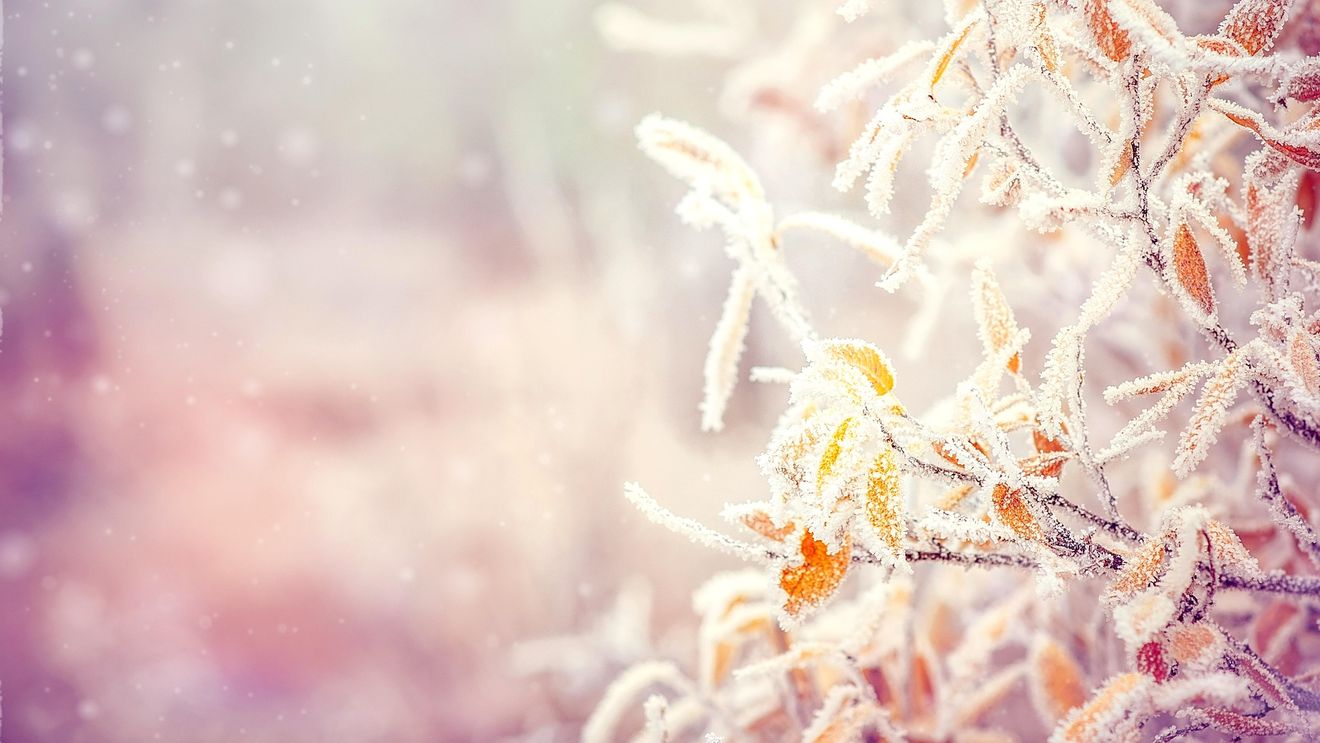 METEO: Atenţionări Cod galben de ger în peste jumătate de ţară, vineri şi sâmbătă
