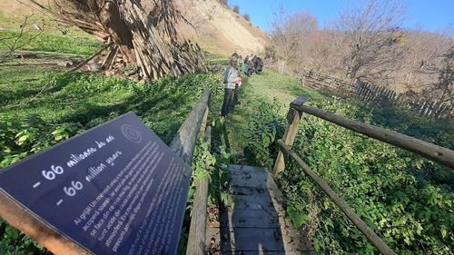 Turismul în Țara Hațegului a crescut cu 40% în ultimii ani / Principala atracție, Geoparcul Internațional UNESCO / ”Oameni care acum 20 de ani erau în trecere, acum vin și stau cinci zile, o săptămână și-și planifică să revină cu familia”