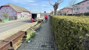 Primăria Copșa Mică face apel la locuitori să nu mai fure florile din oraș / ”Vă rugăm să ne ajutaţi să păstrăm intacte aceste mici oaze de culoare din oraş”