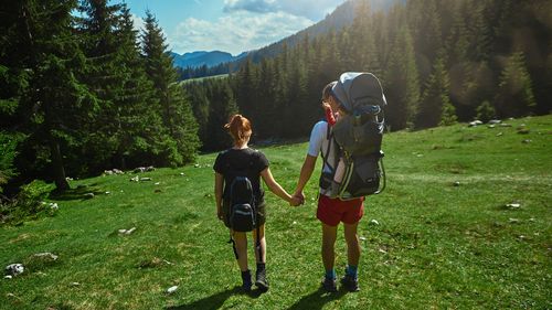 Cum pot fi învinse mafia pădurilor și mafia gunoaielor