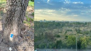 Controverse după ce Romsilva a intrat în Parcul IOR și a marcat copaci uscați ce pot fi propuși pentru tăiere, în baza unui contract semnat cu o firmă care a închiriat un teren în zona retrocedată