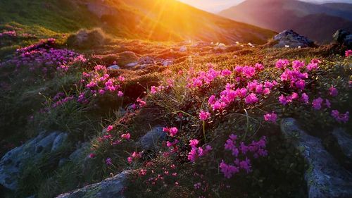 FOTO Pauza de respirație: imagini spectaculoase din Munții Rodnei