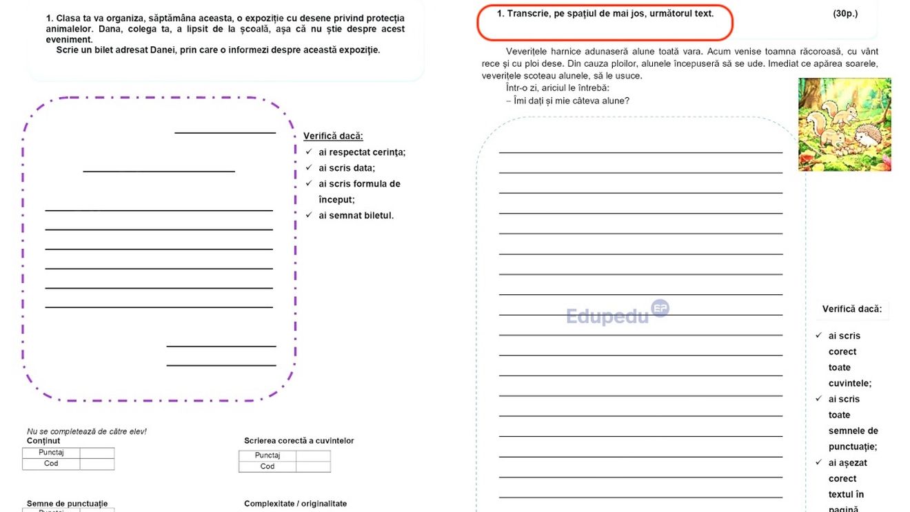 Creativitatea și comunicarea au fost eliminate de Ministerul Educației din cerințele de la Evaluarea Națională de clasa a II-a. Analiza subiectelor de la testarea la „Limbă și comunicare – scris” 2026