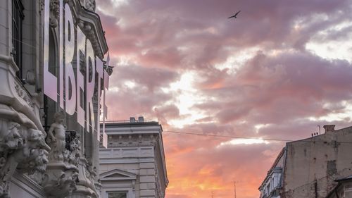 LIBERTÉ La Mița Biciclista – O reverență pentru Franța, un manifest pentru libertate