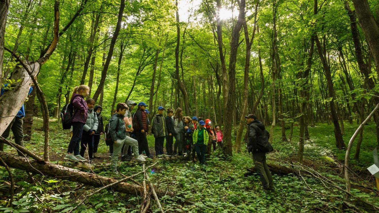 FOTO. Cum arată proiectele premiate de Comisia Europeană în cadrul competiției Noul Bauhaus European: Grădini comunitare sau pe acoperiș, locuri de întâlnire sau refugiu și o "pădure-parc" din România