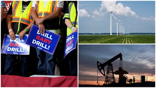 Ce este mai rău pentru viața sălbatică: parcurile eoliene sau forajele petroliere? - analiză BBC