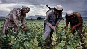 Oroarea nevăzută din Afganistan. Talibanii, noii ”narcos”: heroină, miliarde și geopolitică / Cum au ajuns luptătorii islamiști cei mai mari producători și distribuitori de droguri din lume
