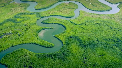 Ar putea Amazonul să fie de fapt cel mai lung fluviu din lume? O echipă internațională de cercetători va parcurge 7.000 de kilometri pentru a afla răspunsul