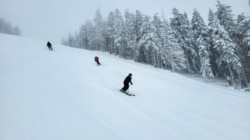 Număr mare de accidentări, în acest weekend, în Poiana Braşov. Sâmbătă, ziua cu cele mai multe intervenţii ale Salvamont în staţiune, în acest sezon