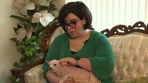 O femeie și-a regăsit câinele după 9 ani / Gizmo a fost identificat prin microcip după ce a fost dus la veterinar de un bun samaritean