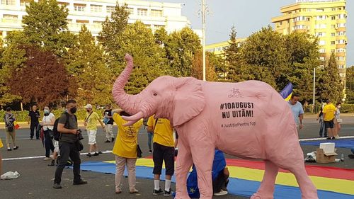 "Mincinoșii!" / "Nu platim judecători să salveze infractori" / Protest la Guvern la trei ani de la mitingul reprimat violent de Jandarmerie. Ce declara președintele Iohannis despre violențele din 10 august când nu avea „Guvernul lui”