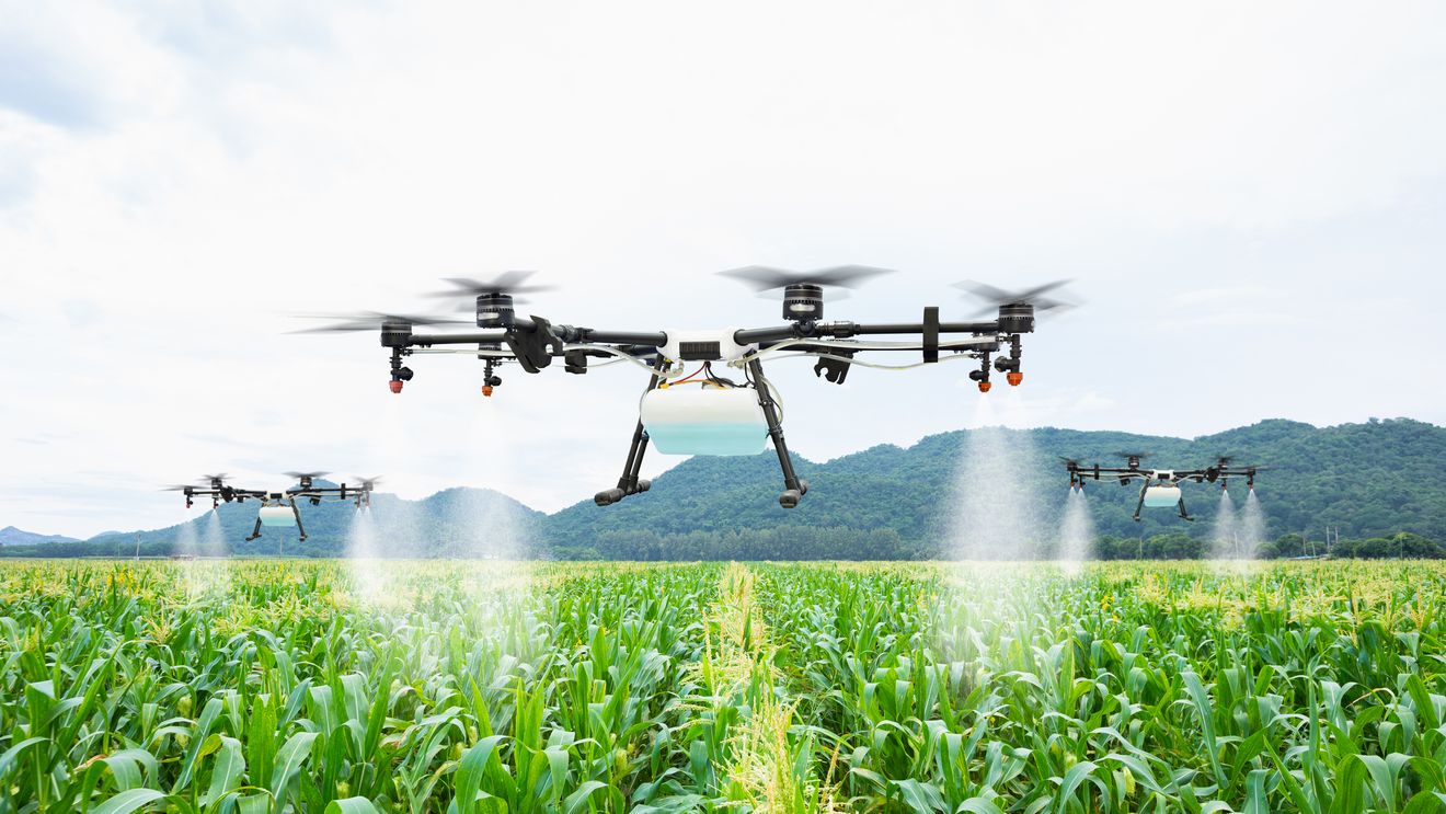 De la sapă, la inteligența artificială / Un colegiu agricol din Brașov schimbă programa şcolară: ”Ferma nu mai înseamnă doar sapă şi lopată, înseamnă senzori și inteligenţă artificială”