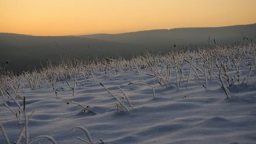 O femeie din Harghita, dispărută de câteva zile de acasă, găsită moartă / Decesul ar fi survenit în urma hipotermiei