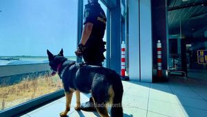 VIDEO Cum sunt prelevate datele biometrice ale cetățenilor non-UE și din Republica Moldova care intră în România sau în altă țară din Schengen: fotografiere, prelevarea amprentelor și scanarea documentului de călătorie / Noul sistem al UE se aplică doar turiștilor care nu au cetățenie română