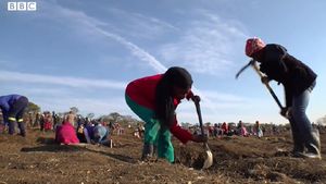 VIDEO Descoperirea unor pietre transparente a declanșat o „goană după diamante" în Africa de Sud