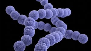 Şase copii au murit în Marea Britanie din cauza infecţiei cu streptococul A, care provoacă scarlatina