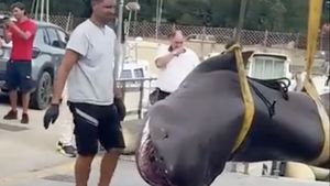 Descoperire spectaculoasă în Toscana: Rechin de 4 metri, găsit de turiști pe o plajă din Follonica / Apariția acestei specii în Marea Mediterană e extrem de rară