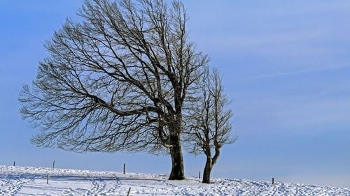 Cod galben de vânt puternic în zonele montane din judeţele Caraş-Severin, Hunedoara şi Cluj, duminică dimineaţa
