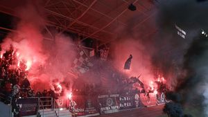Amenzi de peste 75.000 de lei, la meciul Rapid - Dinamo / Firma de pază și protecție a fost amendată, pe lângă cele două cluburi  / Trei suporteri au primit interdicţii de acces la competiţii