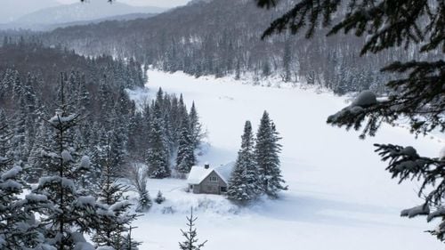 Un excursionist dispărut a fost găsit în viață după ce a supraviețuit mai mult de 6 săptămâni în sălbăticia izolată din Canada