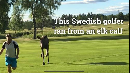 Glume în online pe seama președintelui Iohannis, după ce a invitat românii să facă golf / ”Aștept cu interes programul Prima crosă”