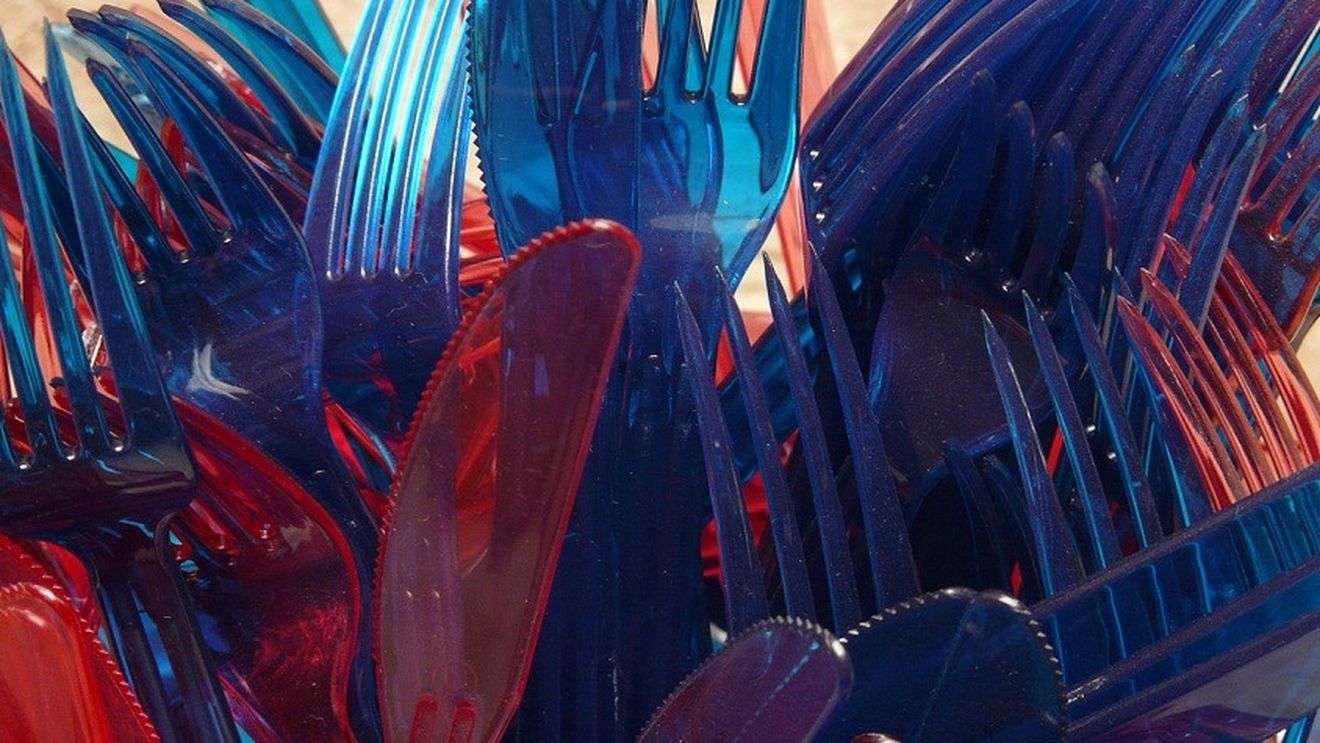 Sfântu Gheorghe, primul oraș din România care interzice paharele, farfuriile şi tacâmurile din plastic la evenimentele publice