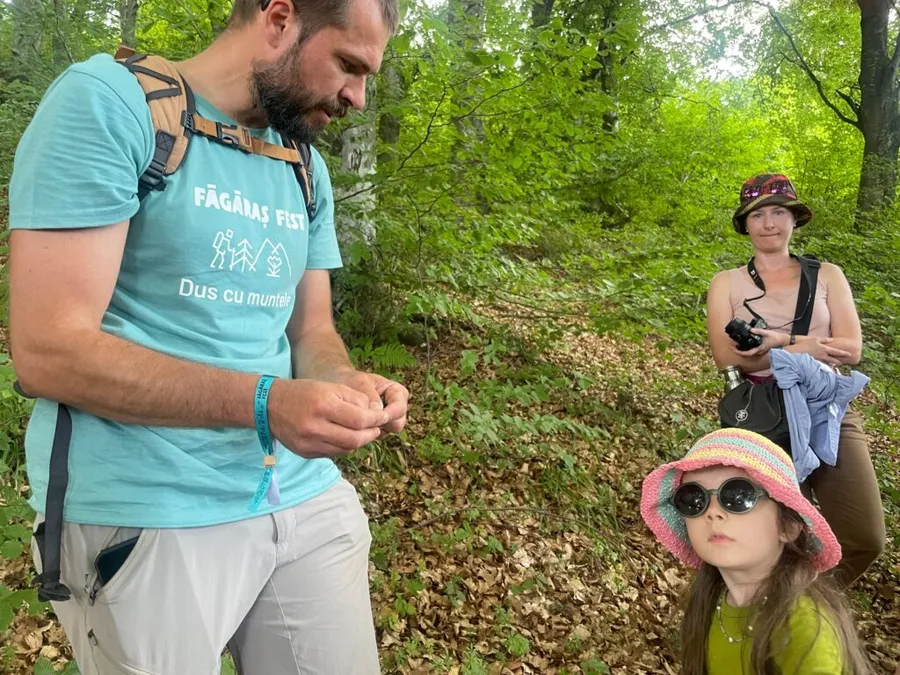 viata arborilor pădure 