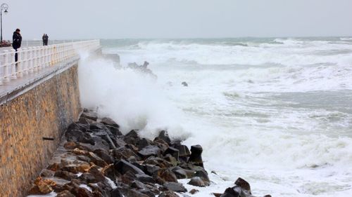 Cod galben de vânt în Dobrogea și județele Brașov, Covasna și Sibiu