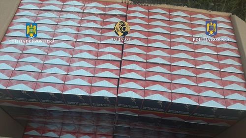 Fabrică clandestină de țigări, înființată de cetățeni români și ucraineni în Iași, descoperită de polițiști / 20 de percheziții în cinci județe