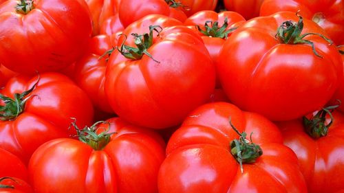 Sindicatul Producătorilor Agricoli Olt, despre fructele şi legumele cu substanţe toxice: ”Peste 80-90% dintre fermieri sunt serioşi, dar şi cei serioşi pot face greşeli pentru că nu sunt instruiţi”
