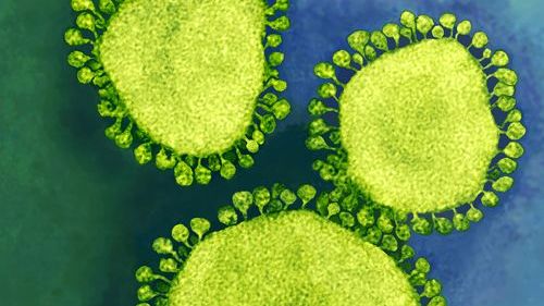 Coronavirusul nu a fost creat în laborator. Studiu publicat în revista Nature