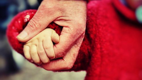 Cel mai lung arbore genealogic cunoscut are 80 de generații și se întinde pe 3.000 de ani