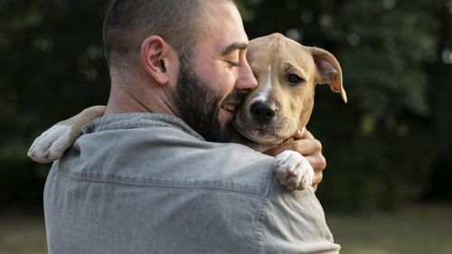 VIDEO EXCLUSIV | Bucureștenii, primii la adopții! Numărul celor care au dat o șansă la viață unui patruped din adăposturi, în creștere cu aproape 40% : “Eforturile noastre au dat rezultate. Peste 2.000 de căței și-au găsit familii”