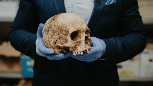 Cel mai vechi arbore genealogic din lume, realizat pe baza analizelor ADN extras din oase umane dintr-un mormânt vechi de 5.700 de ani