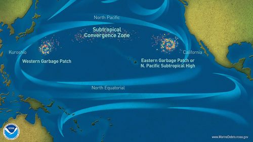 Marea insulă de gunoaie din Pacific este acum atât de mare încât un ecosistem de coastă prosperă pe ea