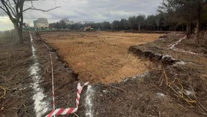 USR Mangalia a strâns 2.000 de semnături pentru protejarea Pădurii Comorova prin trecerea în domeniul public