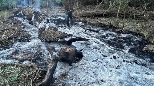 BREAKING Fragmente dintr-o dronă rusească, găsite în apropierea localității Periprava, județul Tulcea / Se fac cercetări și în zona localității Caraorman