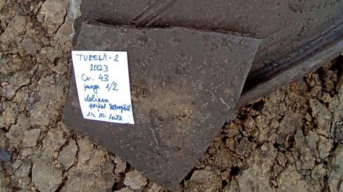 Un primar din Cluj susține că s-a descoperit un document din 1267, scris în limba română / În realitate, cel mai vechi document în limba română datează din 1521 / ”De 750 de ani, la Tureni se vorbea deja limba română”