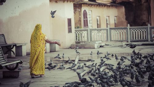 Povestea singurei femei crescătoare de porumbei din Old Delhi / „Este o legătură pe care nu o poți construi peste noapte. Asta este ceva ce nimeni nu-mi poate lua”