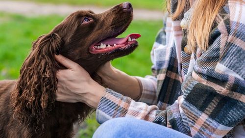 Câinele tău este capabil să-ți „citească gândurile”. Știința dezvăluie cum patrupedul îți simte emoțiile, stresul și chiar frica