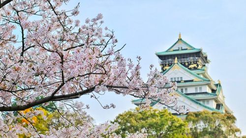 Vânzările duty-free din Japonia au crescut în mai, pe fondul boom-ului turistic