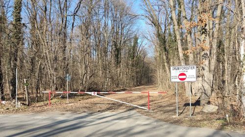 EXCLUSIV Mașinile și-ar putea croi din nou drum prin Pădurea Băneasa. Drum forestier, amenajat în secret de Romsilva cu acces din cartierul Greenfield / Anunțul deschiderii drumului în lungime de 1,5 km a ajuns accidental la organizațiile care apără mediul