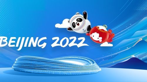 Medaliații de la Jocurile Olimpice vor primi flori artificiale, brodate de pensionari