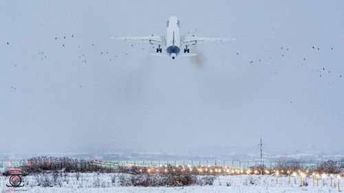 Un avion Lufhansa, care trebuia să ajungă duminică la Cluj, a aterizat la Budapesta / A lovit un stol de păsări
