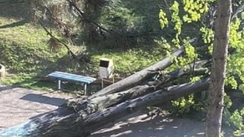 Copaci căzuți și case inundate, în Prahova / Cele mai multe intervenții în Ploiești pe fondul ploilor şi vântului puternic