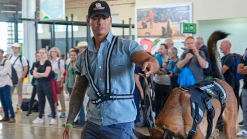 FOTO | „Tehnologie vie” în slujba naturii: Câinii detectivi care salvează biodiversitatea din Insulele Galapagos