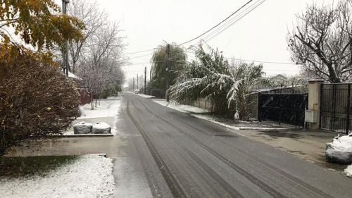 Mai multe accidente grave pe drumurile din țară/ În Argeș, două persoane au murit și câteva butelii de oxigen au ajuns pe șosea/ În Brașov, un tir cu cereale s-a răsturnat