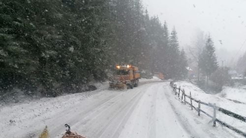 Peste 6.500 de consumatori din Munții Apuseni au rămas fără energie electrică din cauza copacilor căzuți pe linii. Zona se află sub cod portocaliu de ninsori