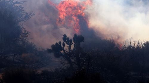 Fenomenul care a favorizat incendiile devastatoare din Los Angeles, asemănat cu „un uscător de păr uriaș” / Vântul extrem de cald a suflat cu 160 de kilometri pe oră